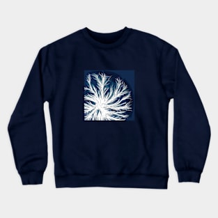 Mycelium in Petri dish (graphic) Crewneck Sweatshirt